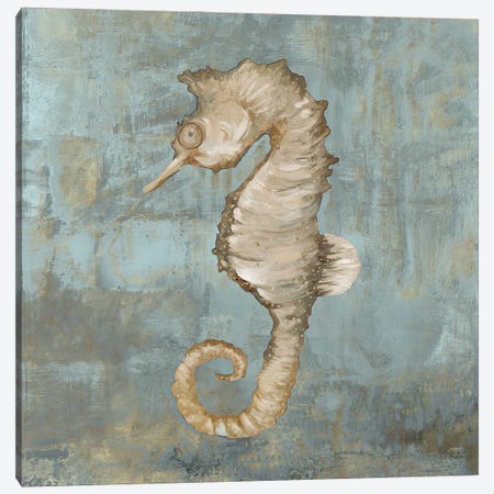 Seahorse Dance Canvas Print #JCQ22} by Jacob Q Art Print