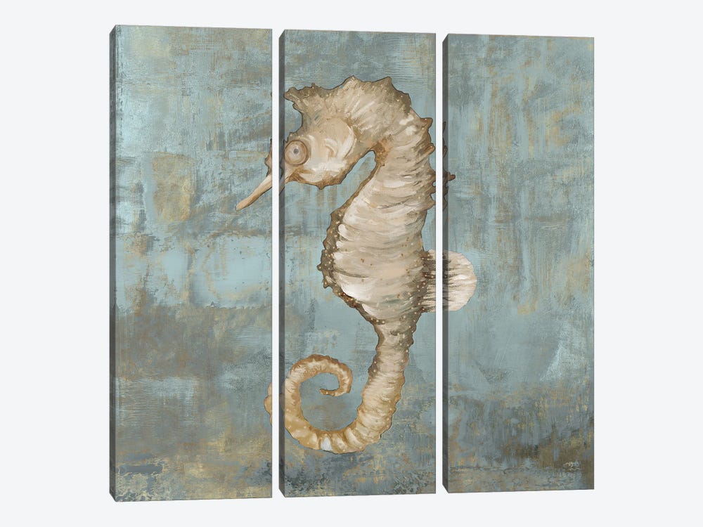 Seahorse Dance by Jacob Q 3-piece Canvas Print