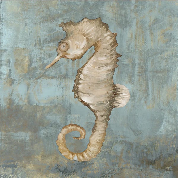 Jacob Q: Seahorse Dance by Jacob Q