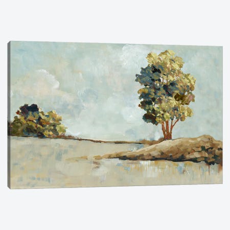 Sunlit Landscape Canvas Print #JCQ24} by Jacob Q Canvas Wall Art