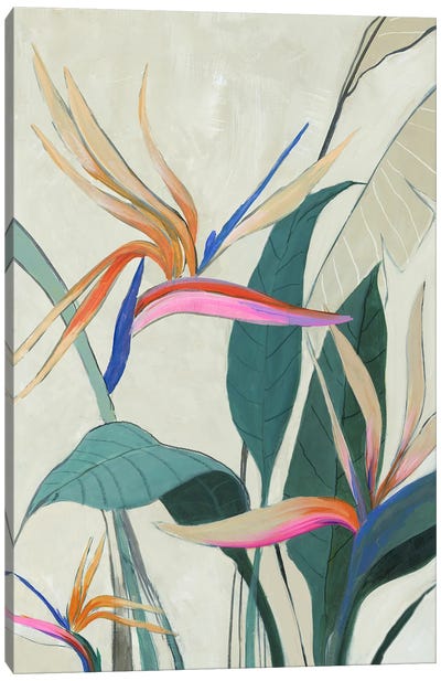 Tropical Splendor Canvas Art Print - Bird of Paradise Art