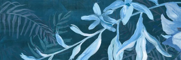 Jacob Q: Blue Bloom Symphony by Jacob Q