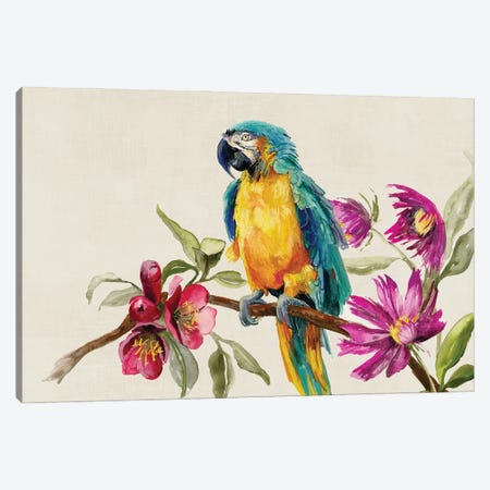 Parrot on Branch Canvas Print #JCQ33} by Jacob Q Canvas Art