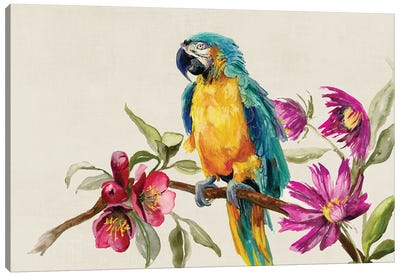 Parrot on Branch Canvas Art Print