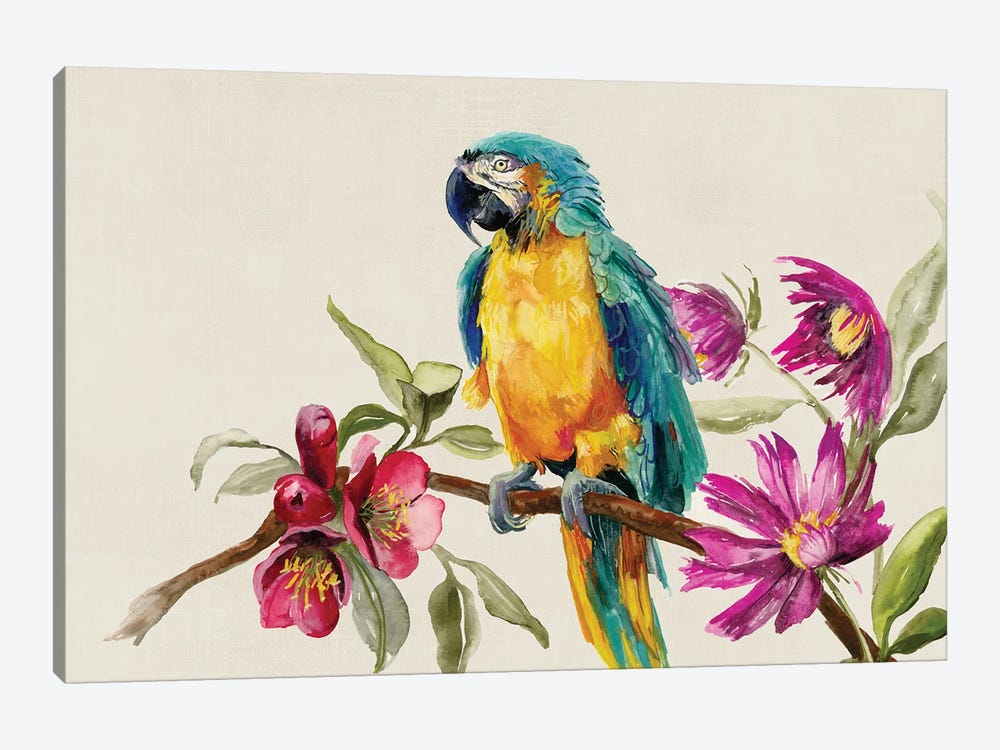 Parrot on Branch by Jacob Q 1-piece Art Print
