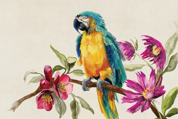 Parrot on Branch