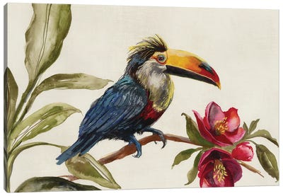 Toucan on Branch Canvas Art Print