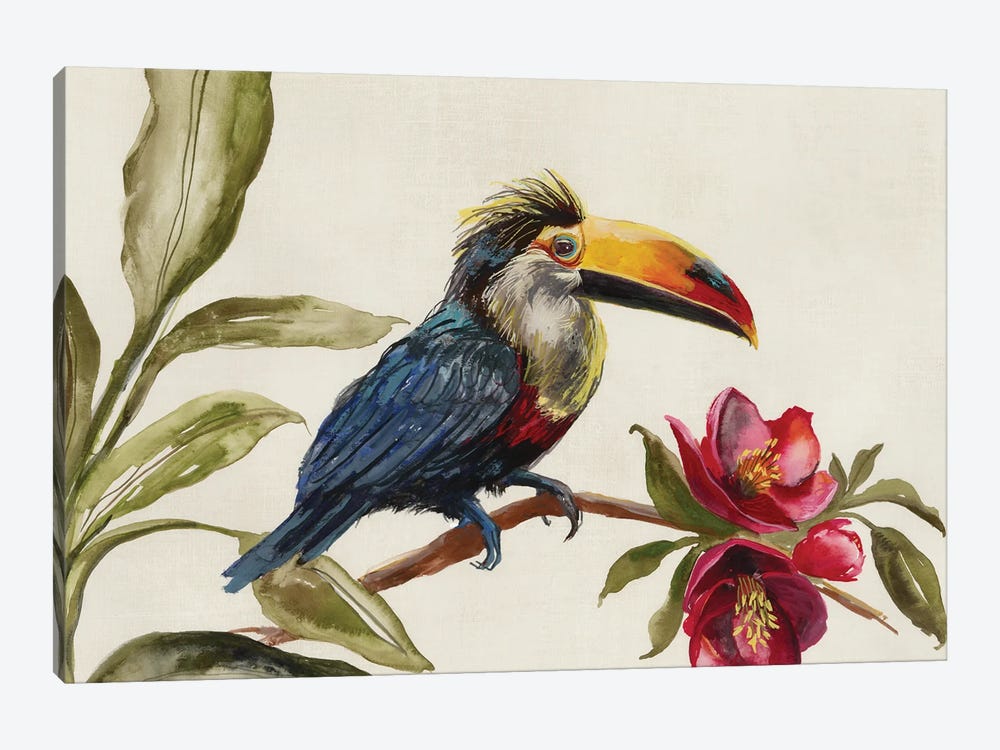 Toucan on Branch by Jacob Q 1-piece Canvas Print