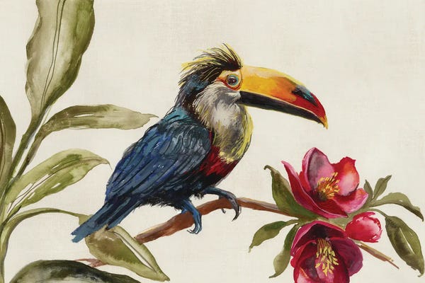 Jacob Q: Toucan on Branch by Jacob Q
