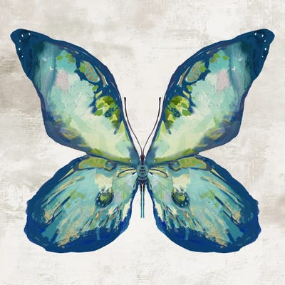 Blue Flutter II by Jacob Q framed canvas print