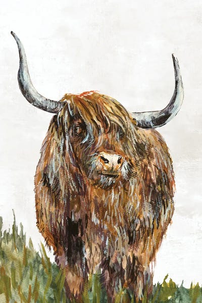 Grasses: Highland Brown Cow by Jacob Q