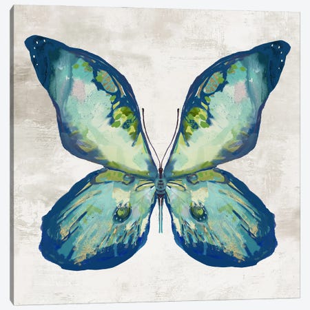 Blue Flutter II Canvas Print #JCQ4} by Jacob Q Canvas Print