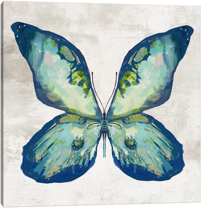 Blue Flutter II Canvas Art Print