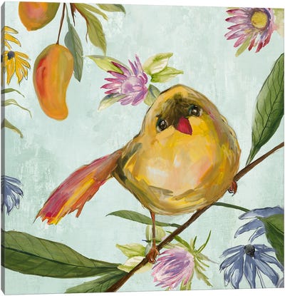 Exquisite Bird of the Tropics I Canvas Art Print
