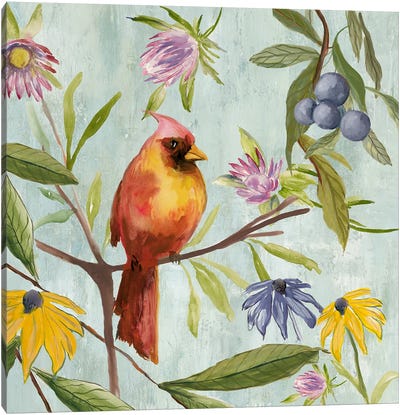 Exquisite Bird of the Tropics II Canvas Art Print - Berry Art