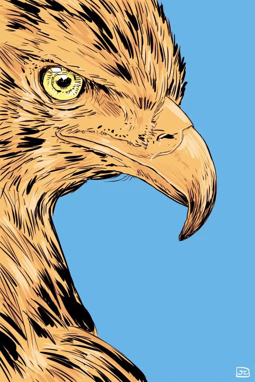 Eagle by Giuseppe Cristiano wall art