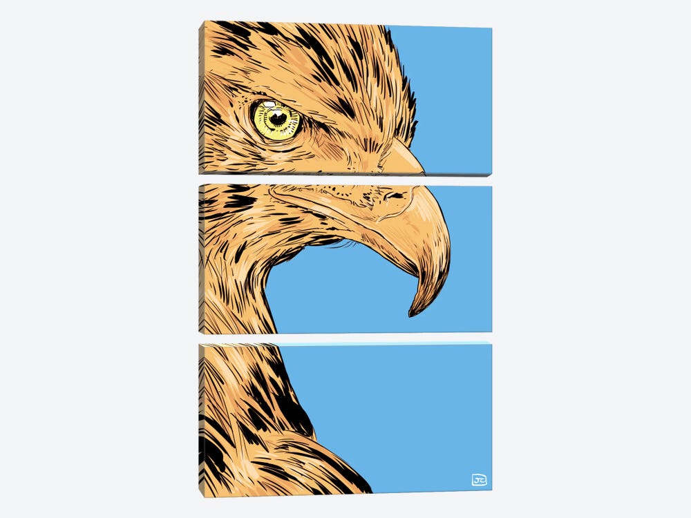 Eagle by Giuseppe Cristiano 3-piece Canvas Print