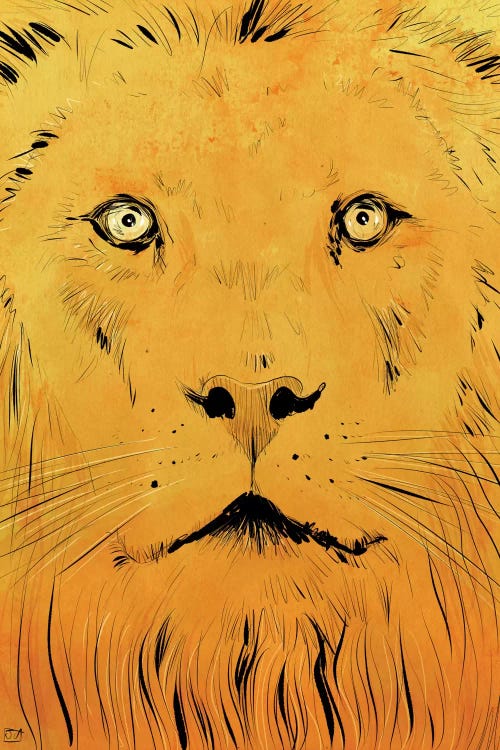 Lion by Giuseppe Cristiano wall art