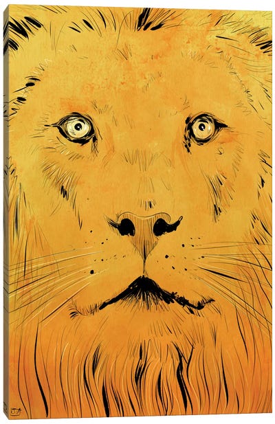 Lion Canvas Art Print - Giuseppe Cristiano