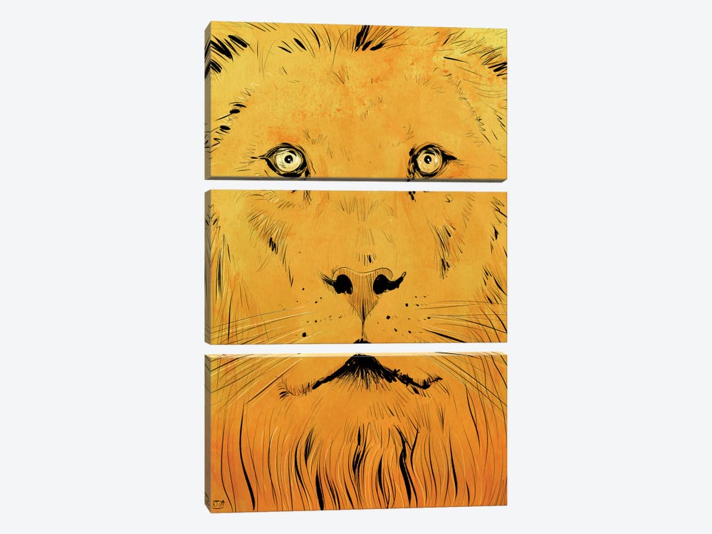 Lion by Giuseppe Cristiano 3-piece Canvas Art Print