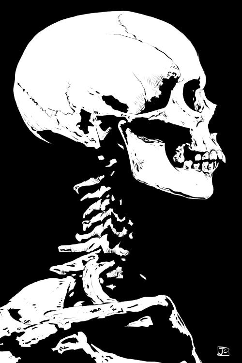 Skeleton