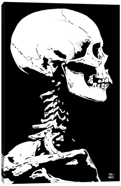 Skeleton Canvas Art Print - Skull Art