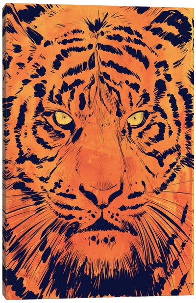 Tiger Canvas Art Print - Giuseppe Cristiano