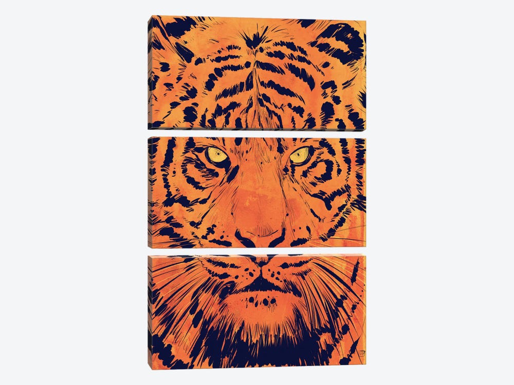 Tiger by Giuseppe Cristiano 3-piece Canvas Wall Art