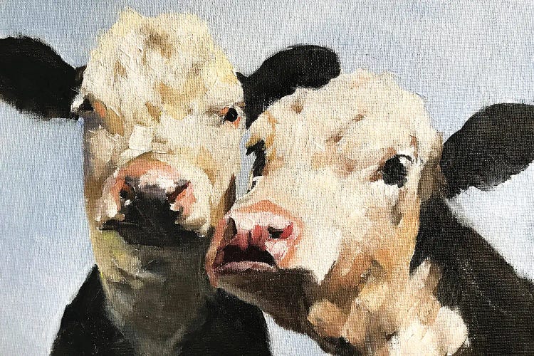 Pair Of Cows