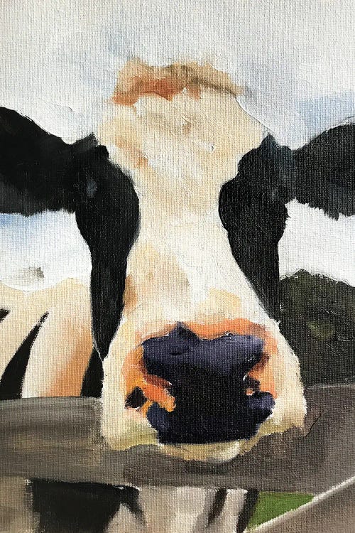 Posing Cow