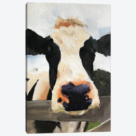 Posing Cow Canvas Print #JCT104} by James Coates Art Print