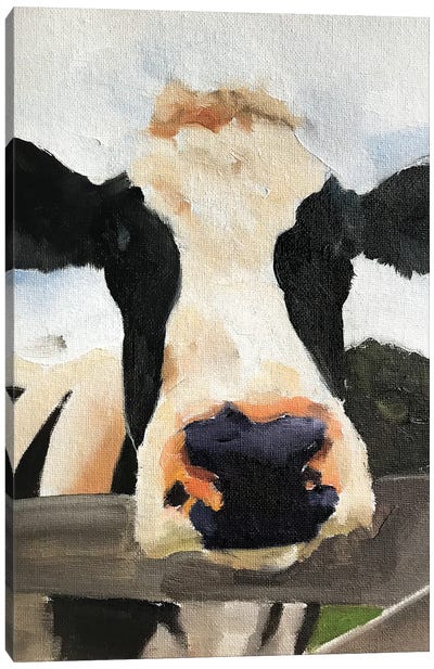 Posing Cow Canvas Art Print - James Coates