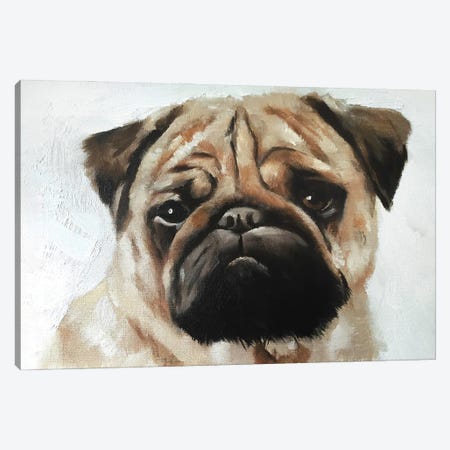 Pug Dog Canvas Print #JCT106} by James Coates Canvas Print