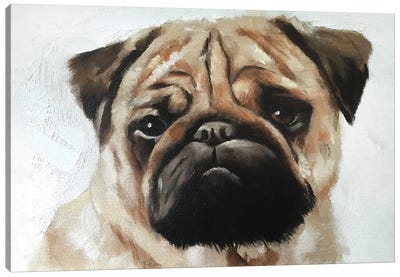 Pug Dog Canvas Art Print - James Coates