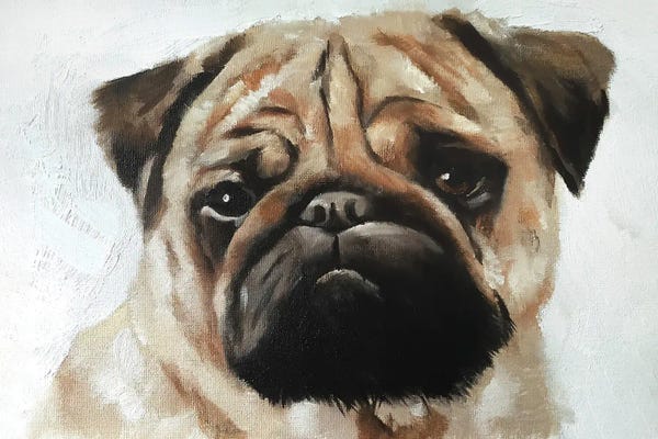 Pugs: Pug Dog by James Coates