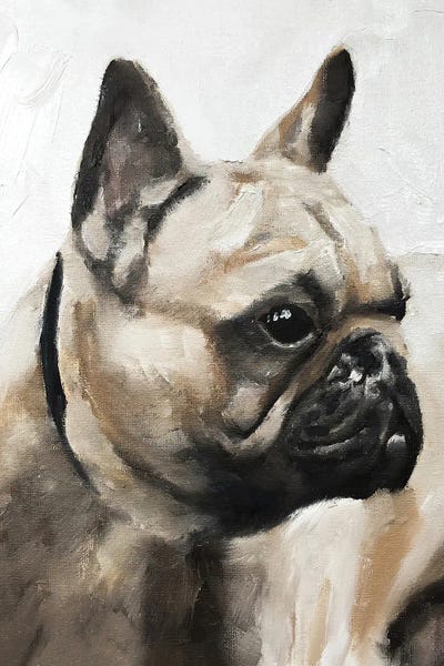 French Bulldogs: Serious Pug by James Coates