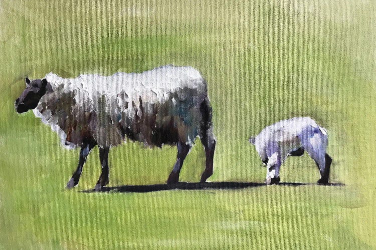 Sheep And Lamb In A Field