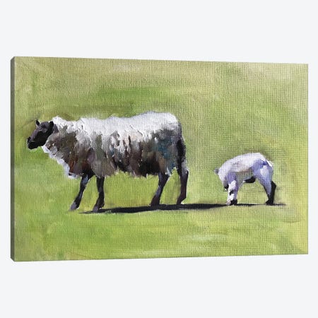 Sheep And Lamb In A Field Canvas Print #JCT115} by James Coates Canvas Wall Art
