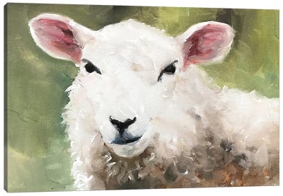 Sheep Portrait Canvas Art Print - Sheep Art