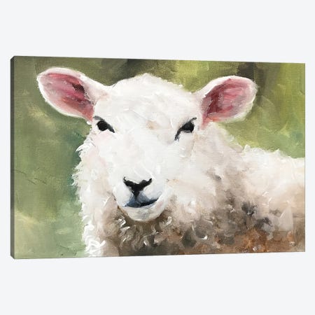 Sheep Portrait Canvas Print #JCT117} by James Coates Canvas Art