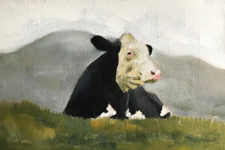 Sitting Cow