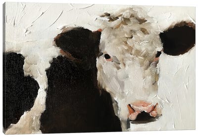 Angry Cow Canvas Art Print - James Coates