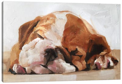 Sleepy Puppy Canvas Art Print - Bulldog Art
