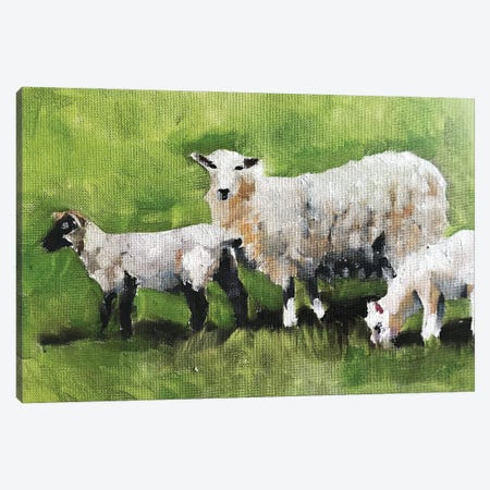Three Little Sheep Canvas Print #JCT130} by James Coates Art Print