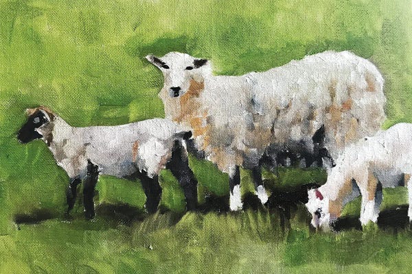 Sheep: Three Little Sheep by James Coates