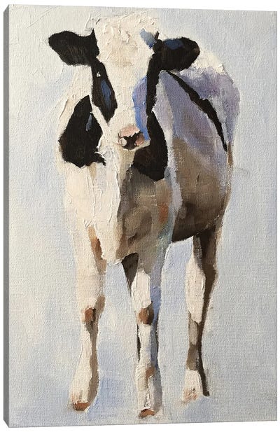 Portrait Of A Cow Canvas Art Print - James Coates