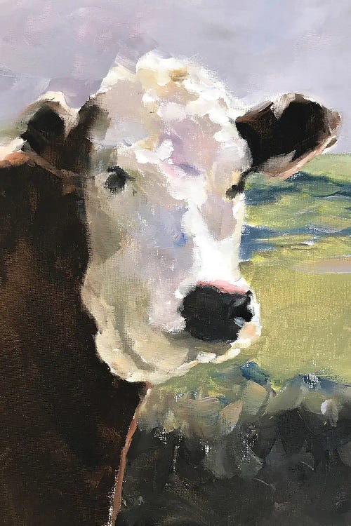 White Faced Cow