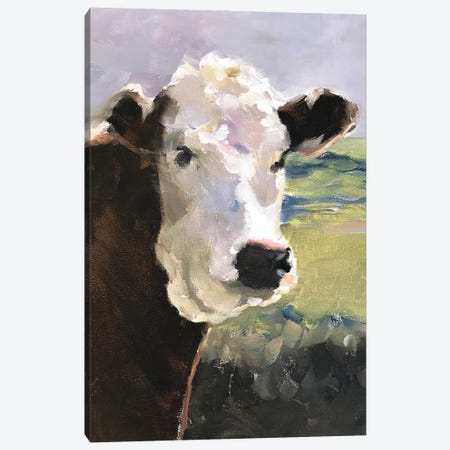 White Faced Cow Canvas Print #JCT137} by James Coates Canvas Art
