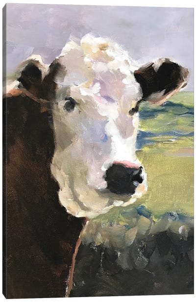 White Faced Cow Canvas Art Print - James Coates