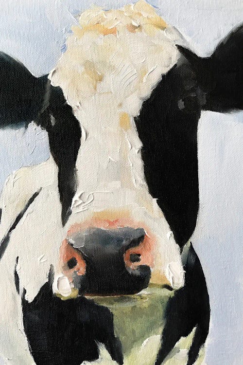 Black And White Cow